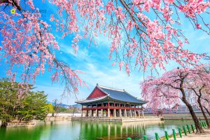 dịch vụ bưu chính vận chuyển đi Korea
