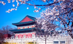 Chuyển phát nhanh tài liệu đi Nhật Bản giá rẻ