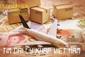 Gửi thực phẩm khô sang Nhật Bản giá ưu đãi
