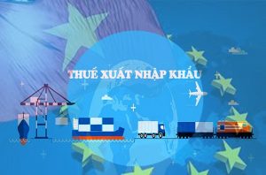 thue nhap khau va dac diem cua thue