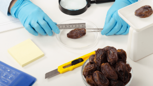 Vận chuyển bột cacao đi Canada nhanh chóng