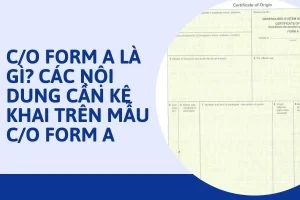 C/O form A là gì?