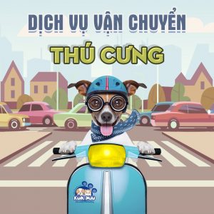 vận chuyển chó, mèo từ Hồ Chí Minh đi Hà Nội bằng đường tàu