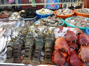 Vận chuyển hải sản tươi sống Bắc - Nam