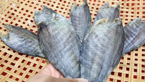 Vận chuyển hàng hóa đi Hàn Quốc chỉ từ 85k/KG