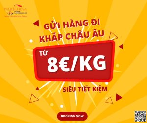 Gửi hàng đi Châu Âu chỉ từ 8eur