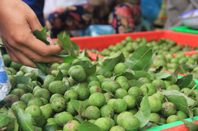 Gửi sấu Hà Nội đi Hồ Chí Minh