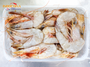 Dịch Vụ Vận Chuyển Hỏa Tốc Tôm Đông Lạnh Từ Cần Thơ Đi Sài Gòn