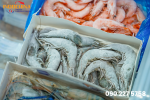 Quy Trình Vận Chuyển Thực Phẩm Đông Lạnh