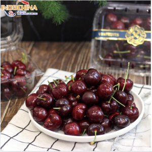 GỬI HOẢ TỐC CHERRY TƯƠI TỪ HÀ NỘI VÀO SÀI GÒN