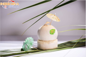 GỬI HOẢ TỐC DỪA TƯOI TỪ SÀI GÒN ĐI ĐÀ NẴNG NHANH CHÓNG