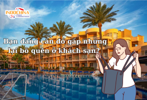 Dịch Vụ Vận Chuyển Hỏa Tốc Đồ Dùng Bỏ Quên Tại Khách Sạn Từ Hà Nội Vào TP. Hồ Chí Minh