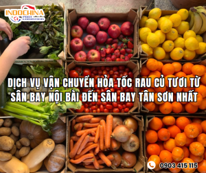 DỊCH VỤ VẬN CHUYỂN HỎA TỐC RAU CỦ TƯƠI TỪ SÂN BAY NỘI BÀI ĐẾN SÂN BAY TÂN SƠN NHẤT