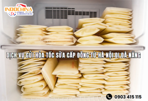DỊCH VỤ GỬI HỎA TỐC SỮA CẤP ĐÔNG TỪ HÀ NỘI ĐI ĐÀ NẴNG