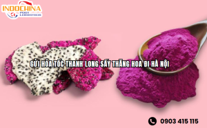 Gửi Hỏa Tốc Thanh Long Sấy Thăng Hoa Từ Hồ Chí Minh Đi Hà Nội