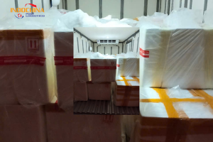 Lưu Ý Khi Vận Chuyển Hỏa Tốc Cá Cảnh Giống – Đảm Bảo An Toàn & Tỷ Lệ Sống Cao