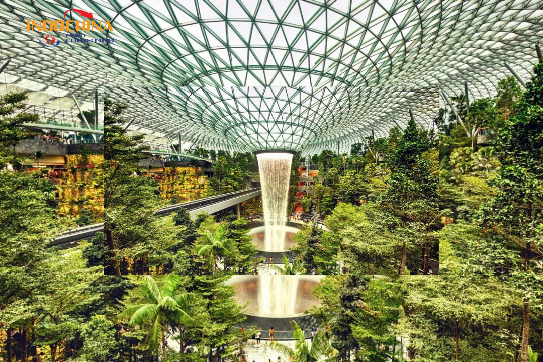 Khám Phá Sân Bay Quốc Tế Singapore Changi – Đỉnh Cao Của Sự Hiện Đại