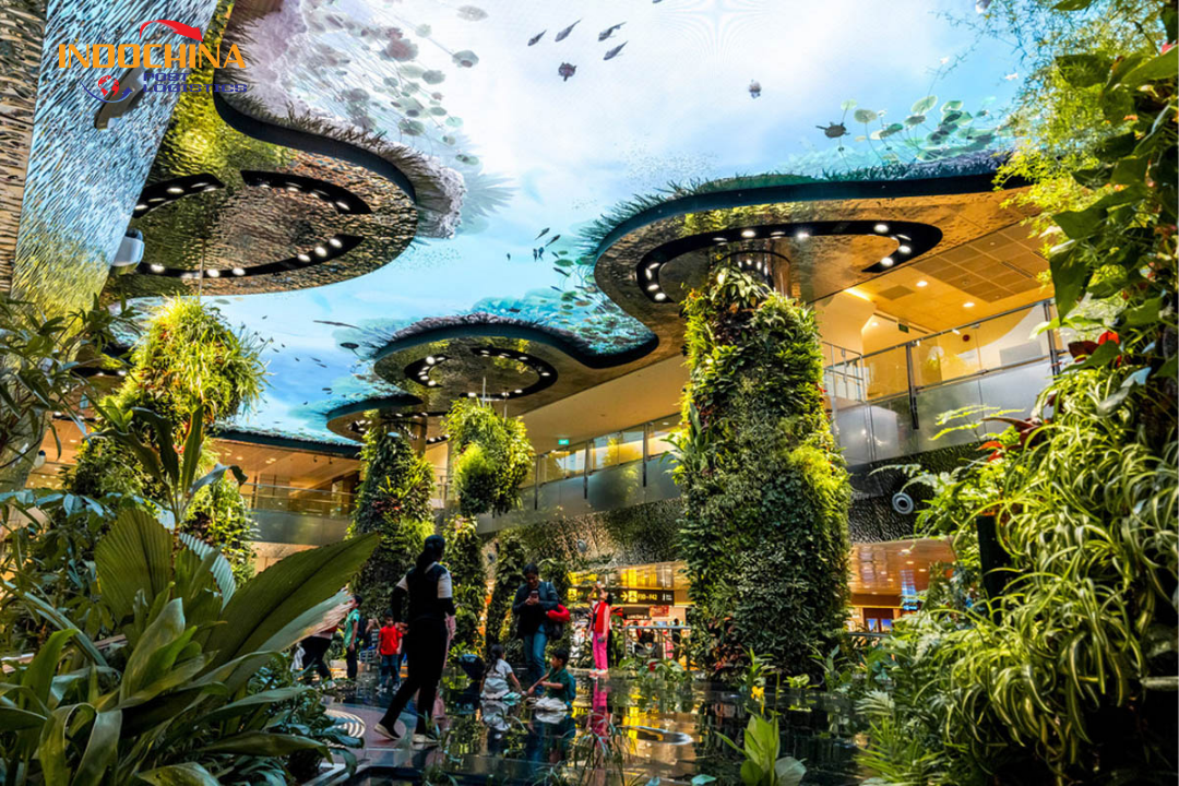 Khám Phá Sân Bay Quốc Tế Singapore Changi – Đỉnh Cao Của Sự Hiện Đại