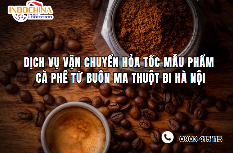 Dịch Vụ Vận Chuyển Hỏa Tốc Mẫu Phẩm Cà Phê Từ Buôn Ma Thuột Đi Hà Nội