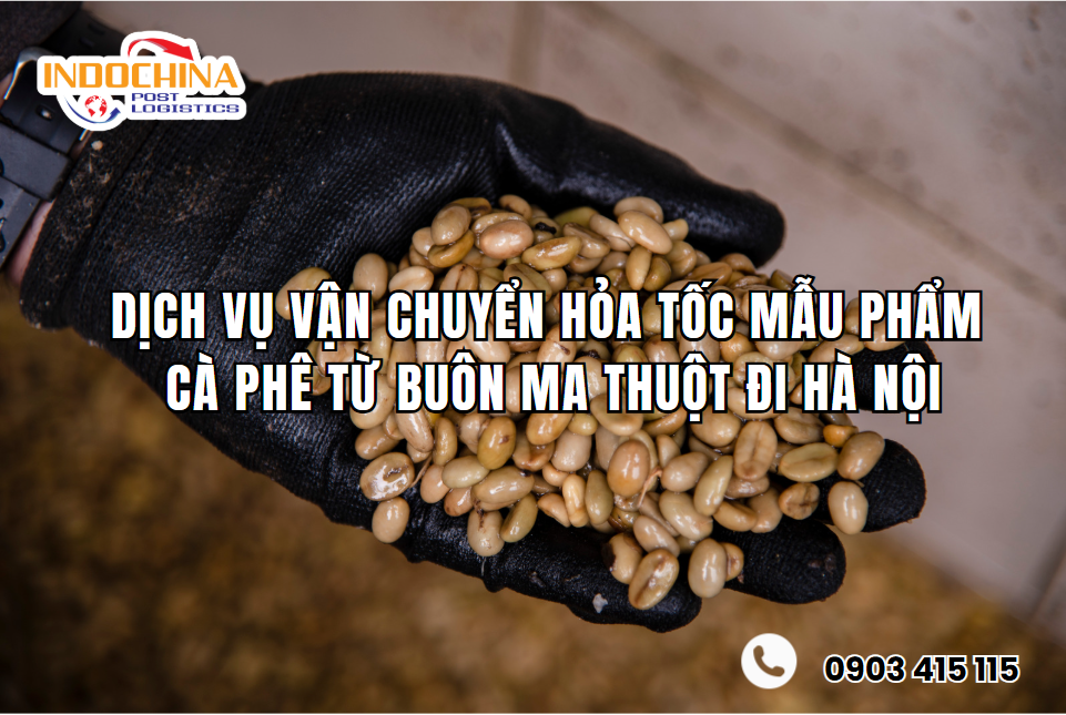 Dịch Vụ Vận Chuyển Hỏa Tốc Mẫu Phẩm Cà Phê Từ Buôn Ma Thuột Đi Hà Nội