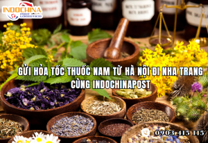 Gửi Hỏa Tốc Thuốc Nam Từ Hà Nội Đi Nha Trang Cùng IndochinaPost