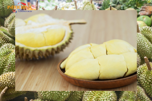 Những lưu ý quan trọng khi vận chuyển hỏa tốc sầu riêng tươi