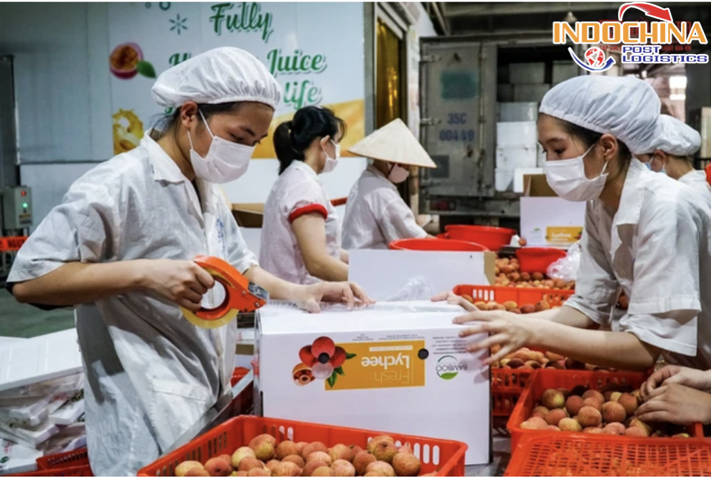 LƯU Ý KHI VẬN CHUYỂN VẢI THIỀU BẮC GIANG TỪ HÀ NỘI VÀO HỒ CHÍ MINH BẰNG ĐƯỜNG BAY