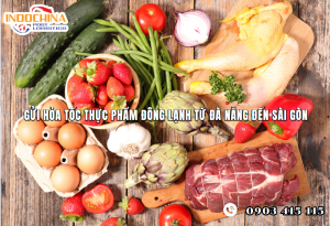 Gửi Hỏa Tốc Thực Phẩm Đông Lạnh