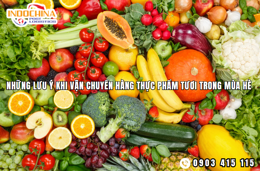 Những lưu ý quan trọng khi vận chuyển thực phẩm tươi trong mùa hè