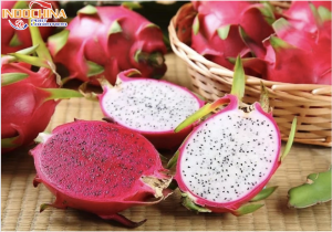 CHUYỂN PHÁT NHANH THANH LONG TỪ SÀI GÒN ĐI HUẾ HOẢ TỐC TRONG 4 TIẾNG