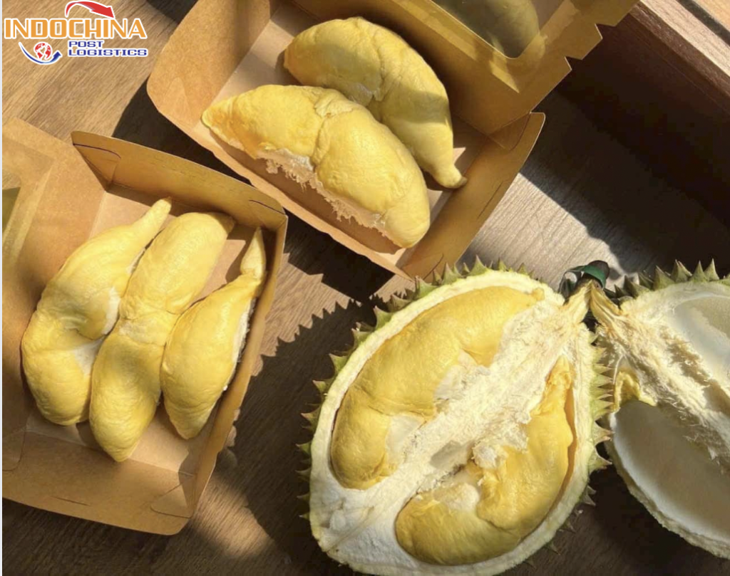 CHUYỂN PHÁT NHANH SẦU RIÊNG TỪ HỒ CHÍ MINH ĐI QUẢNG NINH NHANH CHÓNG
