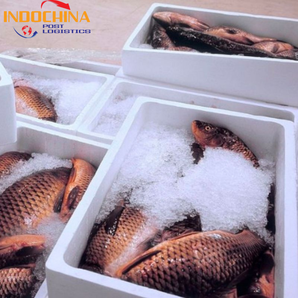 VẬN CHUYỂN HÀNG HÓA TƯƠI