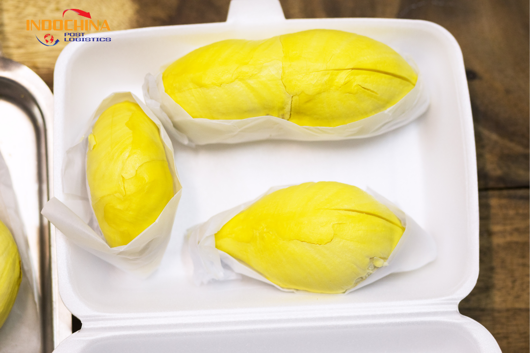 Hướng Dẫn Đóng Gói Sầu Riêng Để Gửi Hỏa Tốc – Giữ Nguyên Chất Lượng, Giao Nhanh Trong NgàyHướng Dẫn Đóng Gói Sầu Riêng Để Gửi Hỏa Tốc – Giữ Nguyên Chất Lượng, Giao Nhanh Trong Ngày