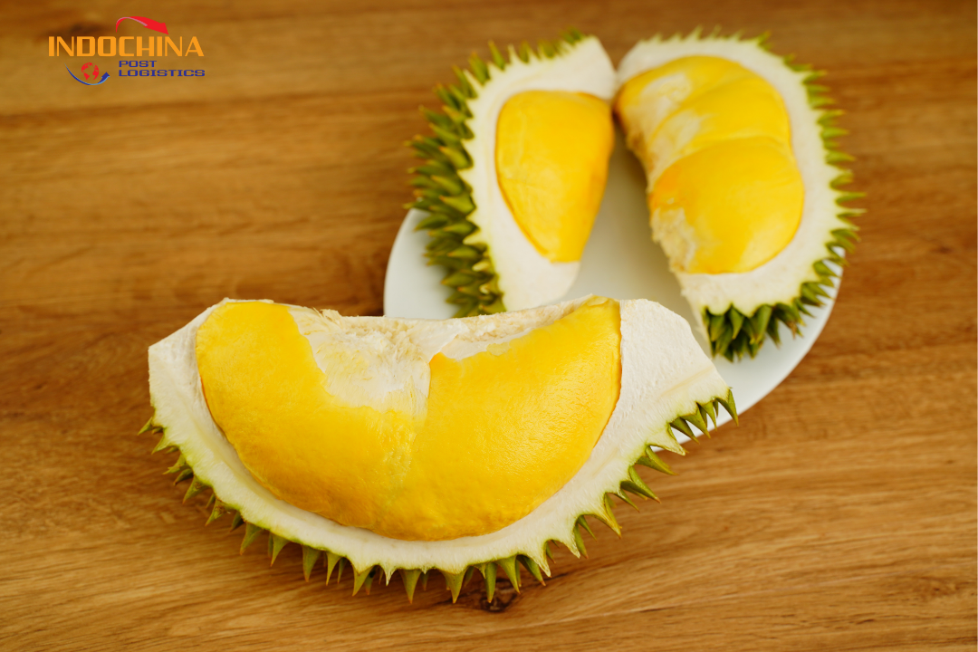Gửi Hàng Hỏa Tốc Sầu Riêng Nội Địa – Giao Nhanh Trong Ngày, Giữ Trọn Hương Vị