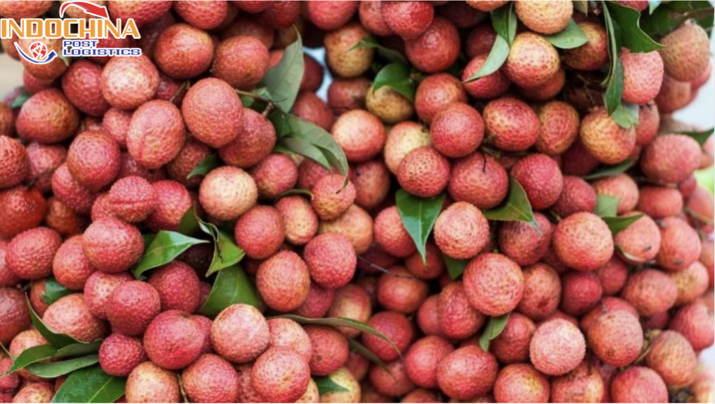 VẬN CHUYỂN VẢI THIỀU TỪ QUẢNG NINH ĐI HỒ CHÍ MINH NHANH CHÓNG