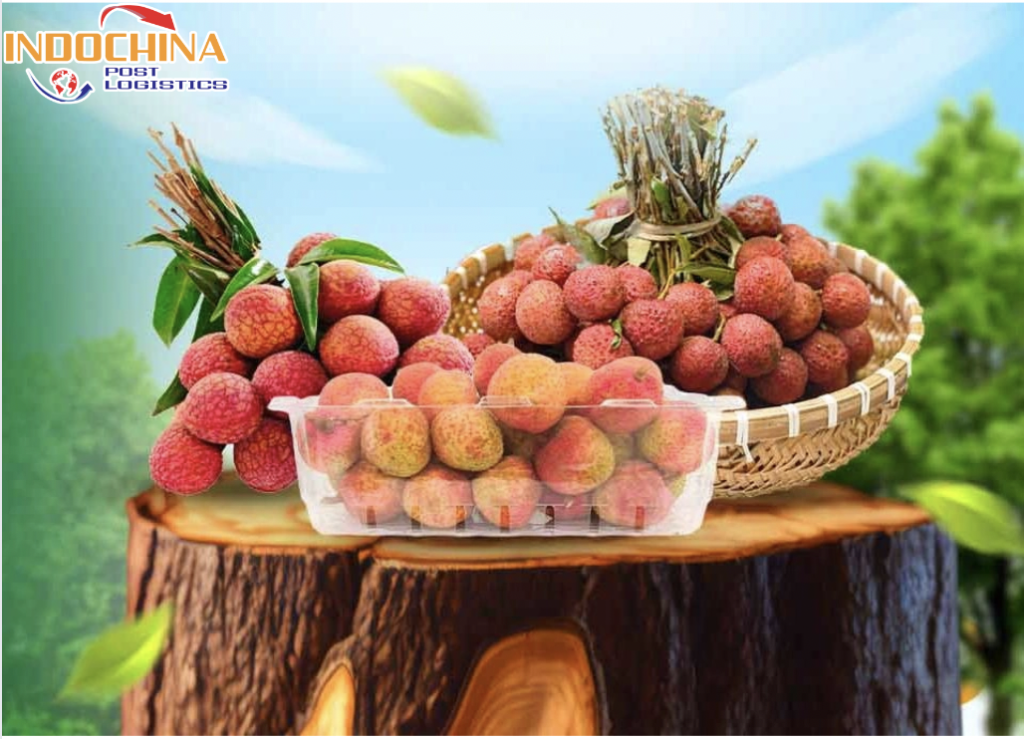 VẬN CHUYỂN VẢI THIỀU TỪ BẮC GIANG VÀO HỒ CHÍ MINH NHANH CHÓNG, ĐẢM BẢO