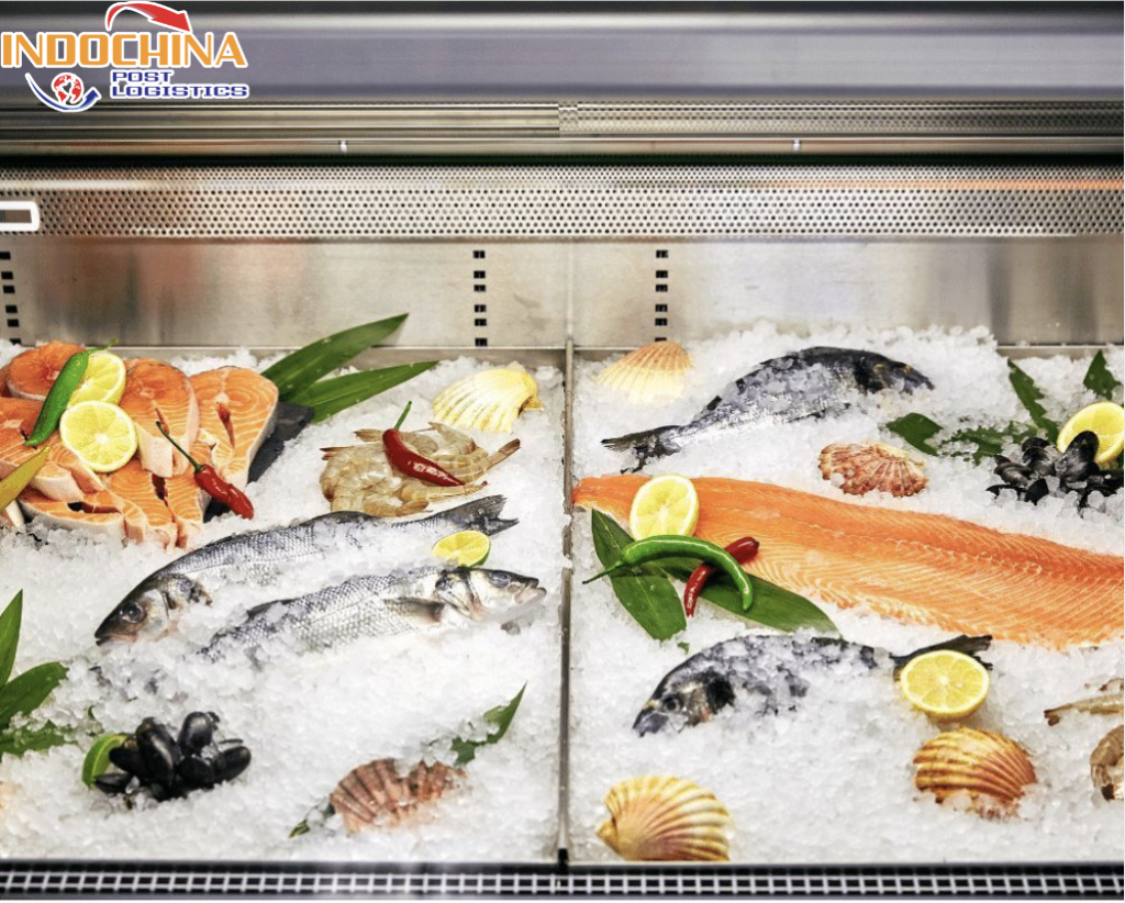 VẬN CHUYỂN CÁ ĐÔNG LẠNH TỪ VŨNG TÀU ĐI ĐÀ NẴNG NHANH NHƯ CHỚP
