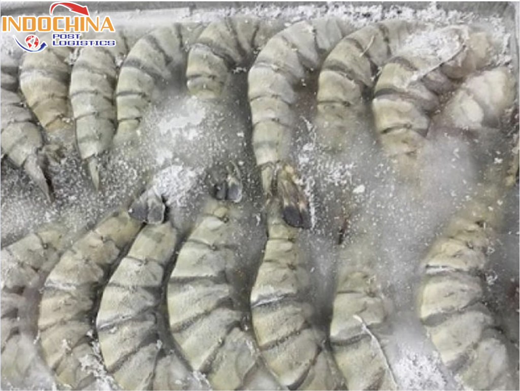 VẬN CHUYỂN TÔM ĐÔNG LẠNH TỪ CẦN THƠ ĐI HÀ NỘI NHANH CHÓNG, AN TOÀN