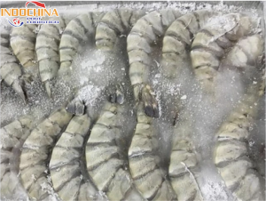 VẬN CHUYỂN TÔM ĐÔNG LẠNH TỪ CẦN THƠ ĐI HÀ NỘI NHANH CHÓNG, AN TOÀN