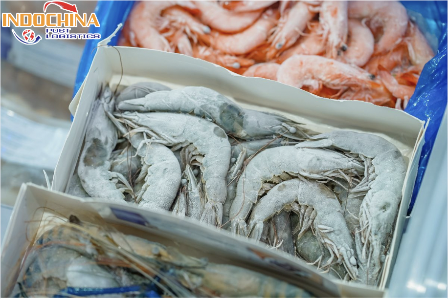 VẬN CHUYỂN TÔM ĐÔNG LẠNH TỪ HỒ CHÍ MINH ĐI THANH HOÁ NHANH CHÓNG