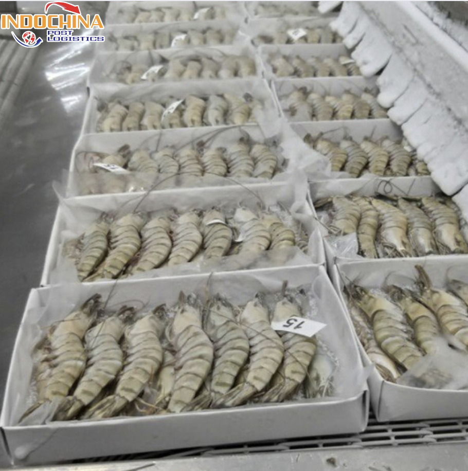 GỬI HÀNG TÔM ĐÔNG LẠNH TỪ CẦN THƠ ĐI ĐÀ LẠT HOẢ TỐC BẰNG ĐƯỜNG HÀNG KHÔNG