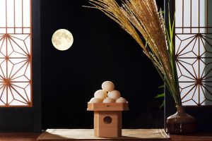 Dịch Vụ Gửi Bánh Trung Thu Sang Nhật Bản – Nhanh Chóng & Tiết Kiệm cùng Bưu Chính Đông Dương
