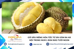 Gửi Sầu Riêng Hỏa Tốc
