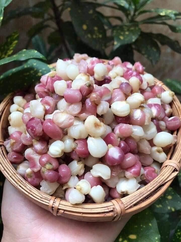 Chuyển phát nhanh ngô nếp Lạng Sơn 