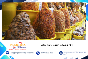 Hướng dẫn gửi mắm Châu Đốc đi Pháp với thông tin về quy định nhập khẩu, cách đóng gói chống rò rỉ, chi phí, thời gian vận chuyển và những lưu ý quan trọng.
