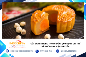Bạn muốn gửi bánh Trung Thu đi Đức? Tìm hiểu quy định nhập khẩu, chi phí, thời gian vận chuyển và cách đóng gói đúng chuẩn để bánh đến nơi an toàn, đúng dịp.