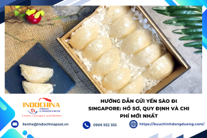 Gửi yến sào đi Singapore đúng quy định với hồ sơ đầy đủ và đóng gói an toàn.
