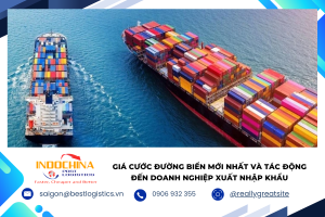 Tìm hiểu giá cước đường biển mới nhất, các yếu tố ảnh hưởng đến chi phí vận tải biển và giải pháp giúp doanh nghiệp tối ưu chi phí logistics trong hoạt động xuất nhập khẩu.