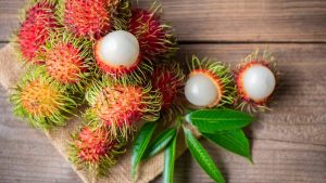 Chuyển phát nhanh chôm chôm Long Khánh đi Hải Phòng