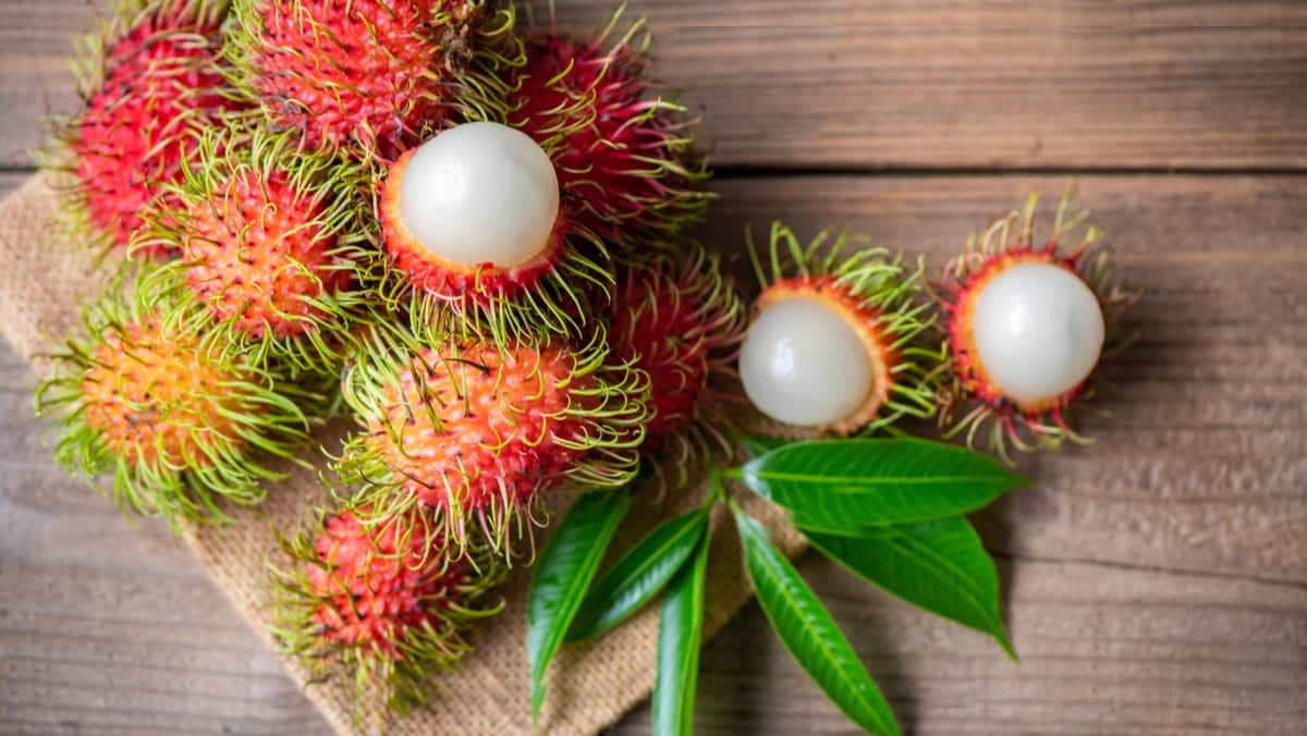 Chuyển phát nhanh chôm chôm Long Khánh đi Hải Phòng